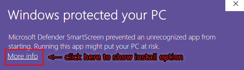 Click More info on the Windows warning screen